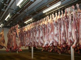 Beef prices, Beef trade in Northern Ireland, beef farming, farming news