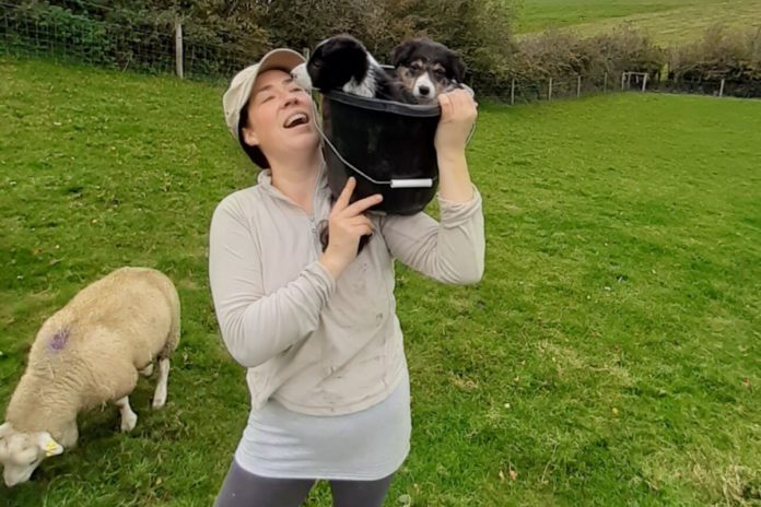 Clodagh Hughes - Sheep farming
