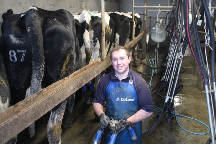 Cathal Tighe (22) is a dairy farmer and agricultural science student from Aglish in north Tipperary, 5km from Borrisokane.