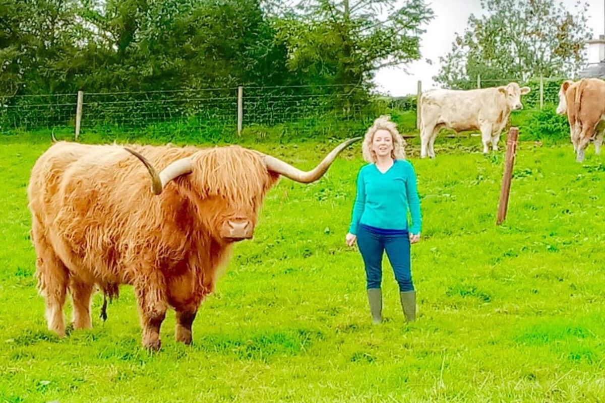 Michelle Shaughnessy, Highland cattle, Longford, cattle breeder,