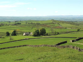 Farmland Cumbria - Dry stone Walls - countryside landscape