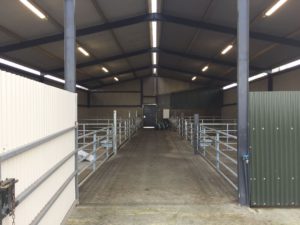 Luke Kenny, dairy farming, dairy farms in Ireland, gates, shed