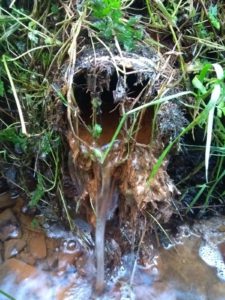 Managing drainage systems, drains,