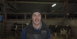 Calving Assist, calving cows, calving