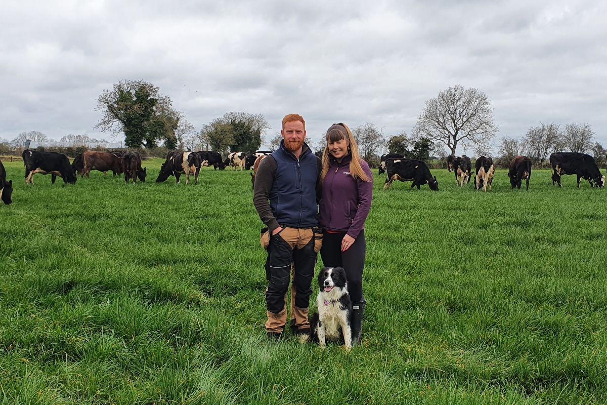 Corrigan Dairy Farm, dairy farmer, dairy farming