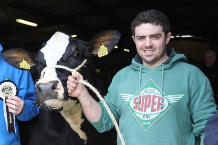 Ards Holsteins, young farmer, dairy news