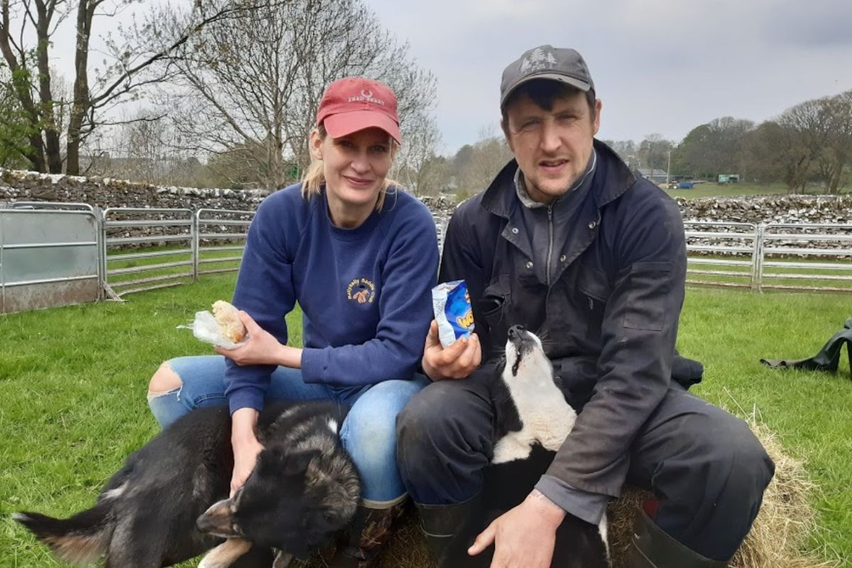 farming couple, farming news UK,  sheep