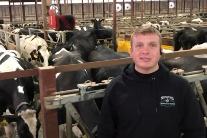 Lely North America, dairy farming, dairy news, Lely, robotic milking