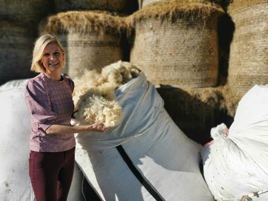 Pippa Hackett, farming, sheep farming