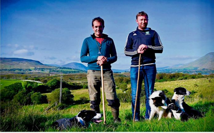 The Newport Shepherds, farming news, sheepdog, sheepdog trainers