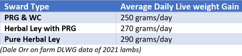 The average DLWG results at ten weeks of age were as follows across the three grazing sward types and show in Dale’s scenario a 16% & 7% increase in DLWG from the herbal leys over that of the PRG &WC swards, respectively.