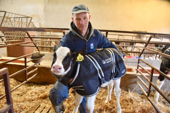 NI dairy farmer, farming news, dairy cows, dairy farming, Northern Ireland
