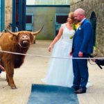 Two Highland cows from Quantock Fold stole the show at Meath farming natives, Sive Corrigan and Stephen Mulligan's wedding in Co Meath.