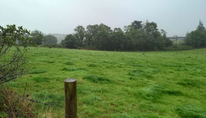 An auctioneering firm is seeking €12,000/acre for a circa 60ac block of land for sale in Co Cork.