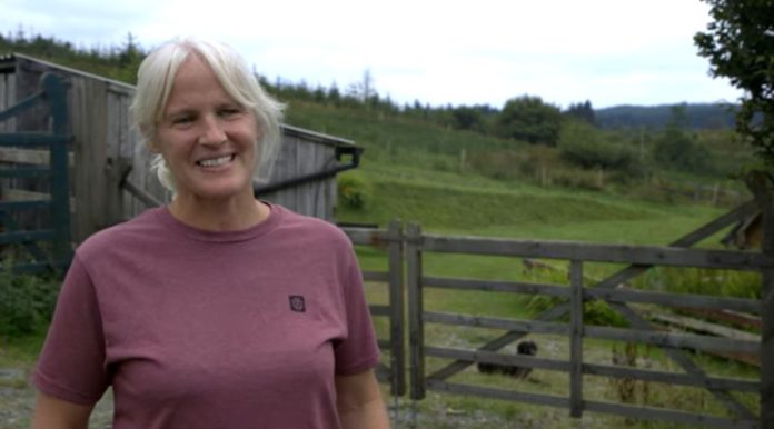 Nia O’Malley took the reins of her family farm, spanning 60 hectares in the Slieve Aughty Mountains, Co Galway, eleven years ago. Since then, she has worked to rebuild and regenerate the enterprise with respect for the natural landscape and wildlife.