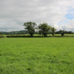 A 166-acre residential farm in Co Westmeath “extremely fertile farm with scale and potential”