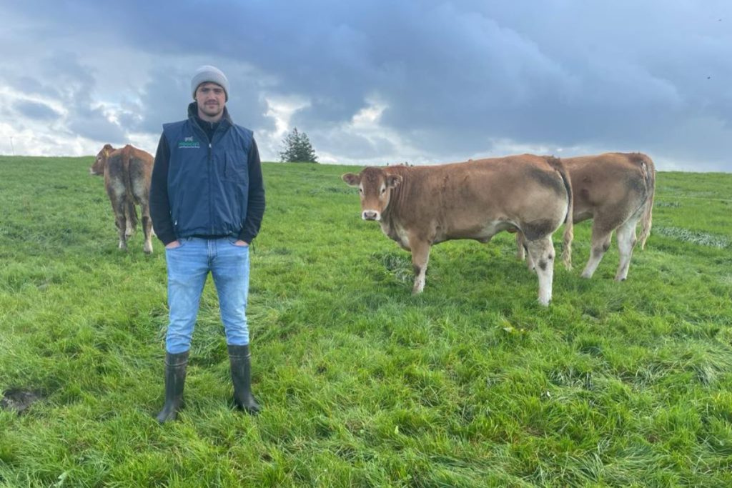 Neil Lyons, Aghamore, Co Mayo, on his ACP studies at UCD, working for Moocall and his 25-cow Carrowneden pedigree Limousin herd.