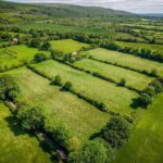 REA Stokes and Quirke (Clonmel) is guiding circa 8.6-acres and a derelict cottage for sale in Cahir, Co Tipperary at €120,000.