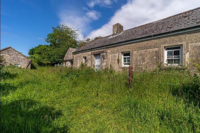 REA Stokes and Quirke (Clonmel) is guiding circa 8.6-acres and a derelict cottage for sale in Cahir, Co Tipperary at €120,000.