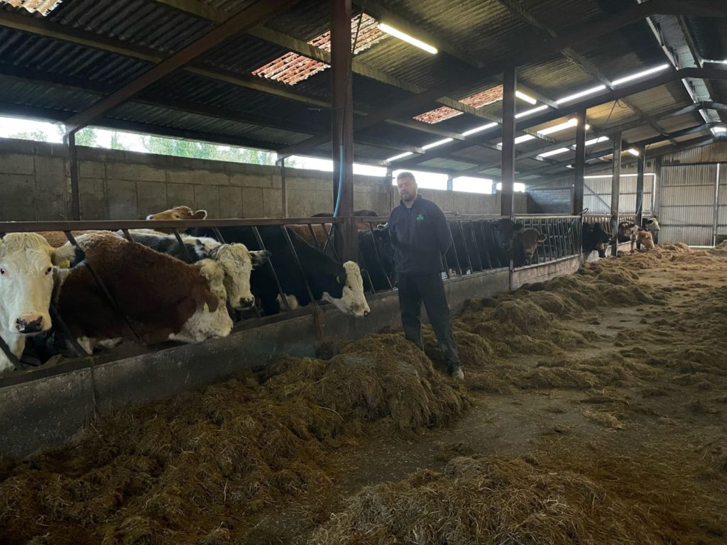 John Kenny, a young Longford farmer with 80 commercial suckler cows, 70 ewes and an agricultural contracting business.