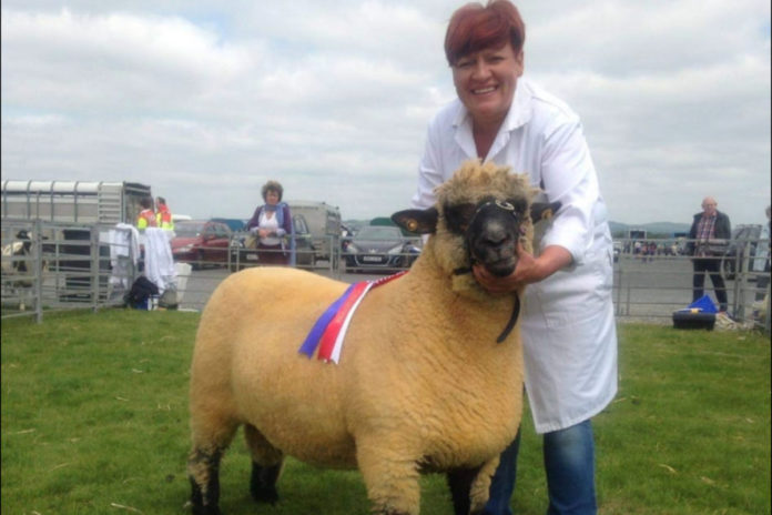 Lynda Hamilton, a food engineering graduate, qualified from CAFRE in 1991 and is a well-known pedigree sheep farmer from Tyrone.