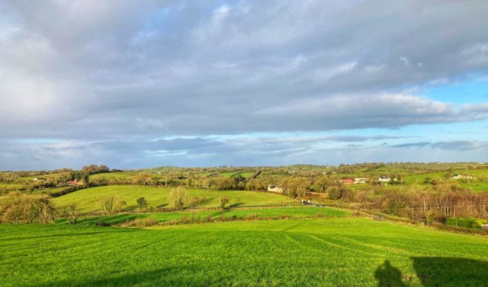New to the market is a “valuable” smallholding/farm extending to just under 20-acres in Co Tyrone. Pollock Estate Agents is handling the sale of the “conveniently” located property on the Mullagharn Road in Gillygooley.