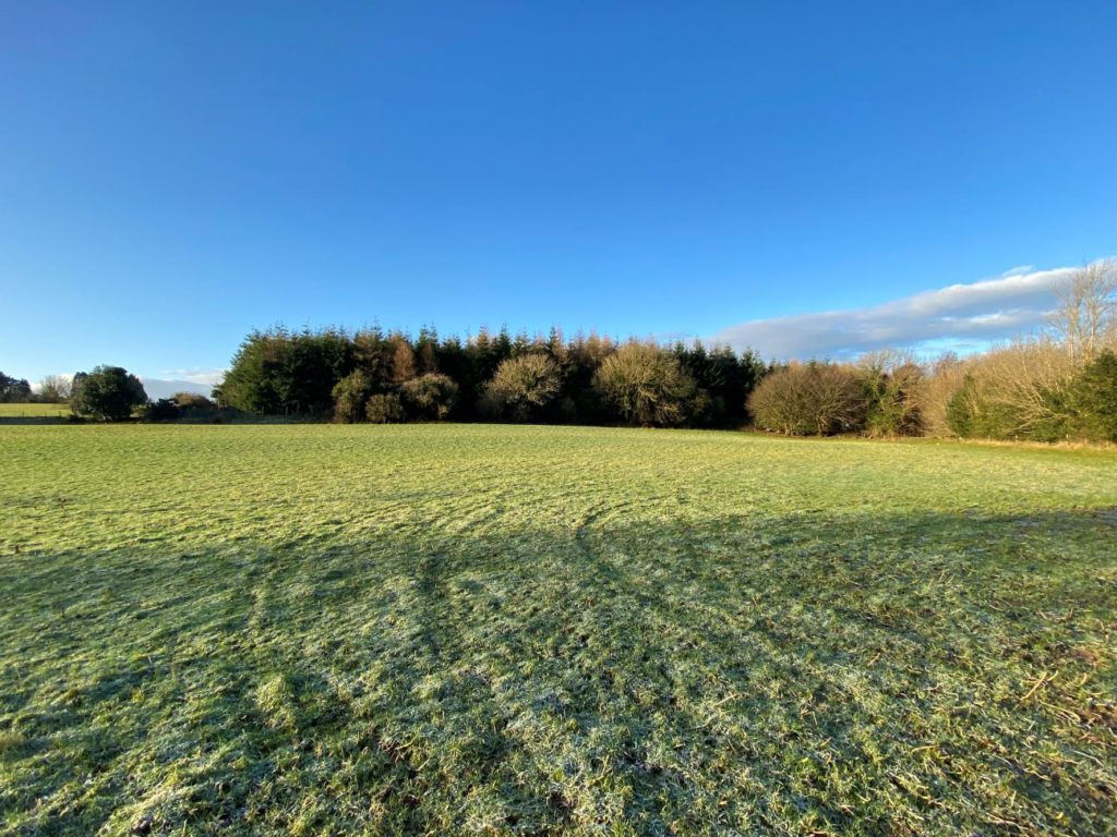 Photos: Derelict residence and buildings on 16ac guiding at €350k 