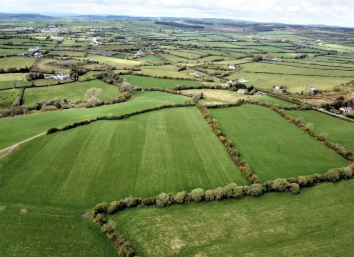 Property for sale: A 155.98-acre farm with a four-bed bungalow in need of repair. in Drumagh, Crettyard, Carlow, Co Laois, Ireland.