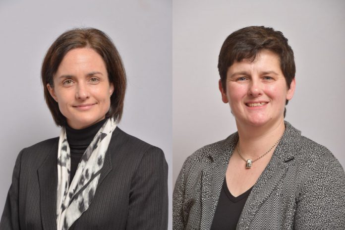 The Veterinary Council of Ireland (VCI) has appointed a new president and deputy president: Vivienne Duggan and Rachel Brown.