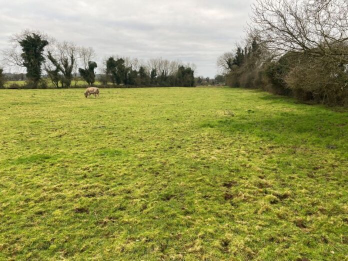 Jordan Auctioneers has just placed a D2 BER-rated detached 4-bedroom bungalow with a range of outbuildings in Co Kildare on the market.