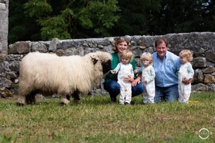 Clive Rothwell (40), a breeder from Wexford, runs the Ballypierce Texel flock, which he established seven years ago through eight embryos.