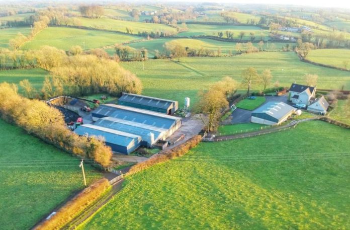 Properties for sale in NI: Creevenmore Farm in Omagh, Co Tyrone, a “substantial, fully equipped” dairy enterprise with dwellings.