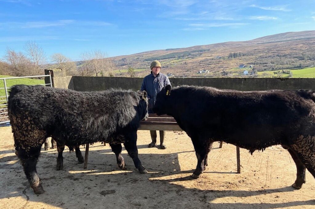 Kilpheak Farm: Sean Devine, from Donegal, left school at 15-years-old to pursue his farming venture and today farms 1,000-acres.