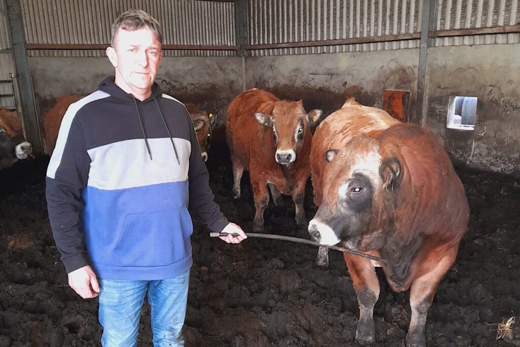 Kevin O'Brien became a pedigree Aubrac cattle breeder in 2011. The Galway suckler farmer bred Belgian Blue cattle for years. 