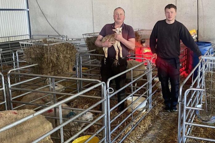 Westmeath farmer, Mikey Mcgrath, runs 45 pedigree Beltex ewes, 25 pedigree Vendéen sheep, 170 commercial sheep and 75 sucklers.
