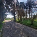 Rogers Tevlin Auctioneers has just introduced a 51-acre “superb” residential farm with an “extensive” farmyard at Fordstown, Kells, Co. Meath to the market.