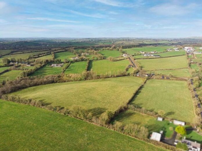 Property for sale in Ireland: Keenan Auctioneers is seeking just over €11,450/acre for a circa 24-acre non-residential farm in Co Meath.