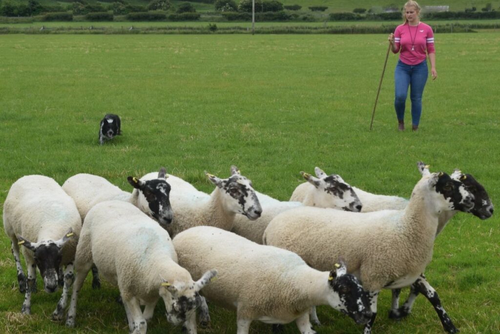 Shannon Conn (20) is a sheepdog trainer, breeder and triallist, beef farmer and mother-of-one from Northern Ireland. 