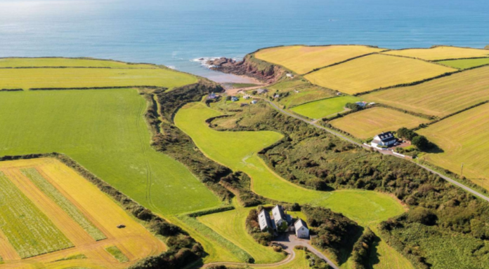 Property/properties for sale in Ireland: €1.25m for the four-bed modern house on circa 10.8-acres in Dunmore East, Co Waterford.
