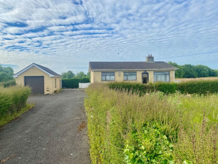 Moyvalley Broadford Advert - property and farm for sale