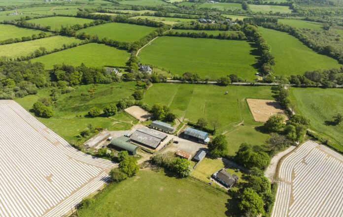 Property/houses/land for sale in Ireland: Kilnamanagh Farm, Glenealy, Co Wicklow. A 3-bed bungalow, a range of farm buildings, 21 stables.