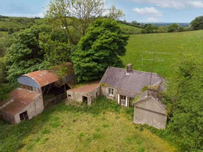 An old cottage, a hay shed, circa 6-acres of farmland, and circa 135 metres of road frontage are among the key features of Keenan Auctioneers’ newest listing.
