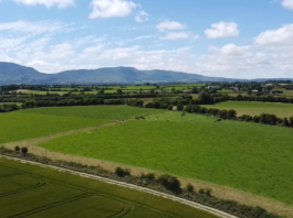 Dwane Auctioneer and Valuer, has just introduced to the market, circa 145.270ac of “top-quality” agricultural land in Co Waterford.