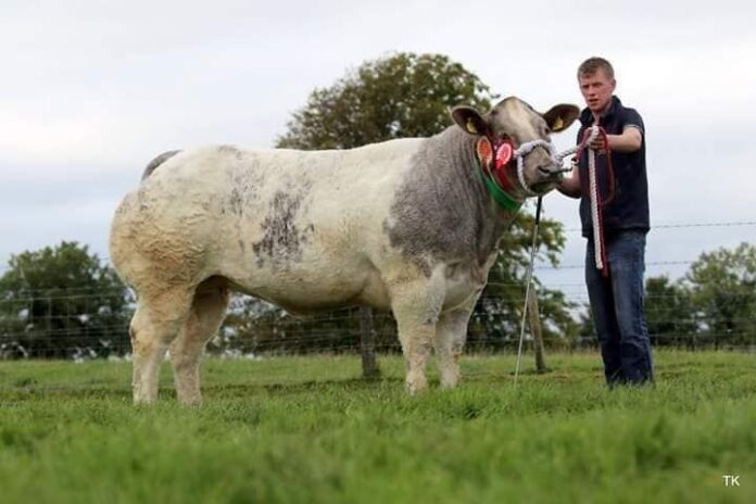 Farming news this week: Elphin Mart will host to the forthcoming 43rd annual Elphin Agricultural Show this Saturday, August 27th, 2022.