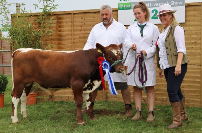 2a Reserve Overall Irish Moiled Breed Champion At Tullamore Show Was Won By Ciara And James White From Co. Wexford With Their Young Bull Woodbine Harry, Included Is Judge Michelle Mccauley
