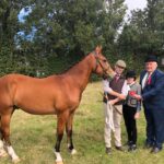 Ed Flaherty With The Best In Class Traditional Yearling At Bansha Agricultural Show, Co. Tipperary On Wednesday August 24th Along With Judges Nora Keogh And Joe O'donoghue