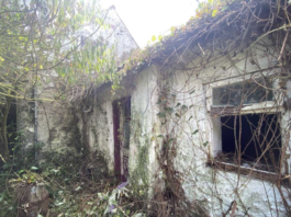 Property for sale: P F Quirke and Co LTD have placed an AMV of €50,000 on a “two-storey cottage in a rural location” in Co Tipperary, Ireland