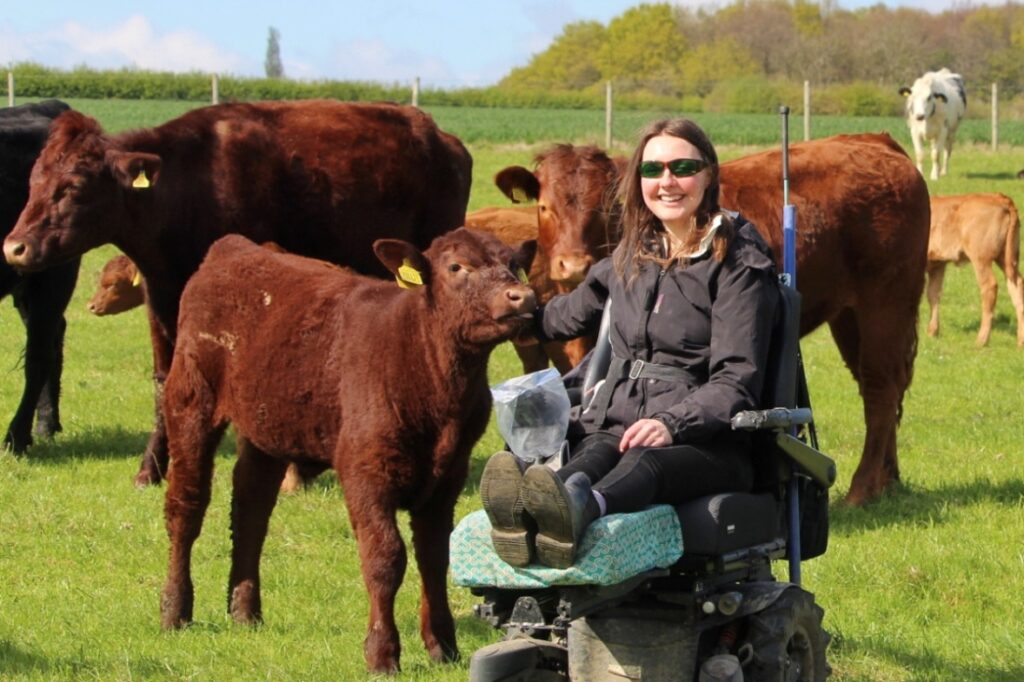 In this week’s Women in Ag, That’s Farming, talks to Holly Moscrop, best known to readers as One Girl and Her Cows on social media. She tells us how a chronic illness has not deterred her from fulfilling her life-long goal of becoming involved in the agricultural industry. Holly Moscrop describes herself as a “backseat farmer, a blog writer and farm dictionary creator living with a chronic illness,”. She suffers from Myalgic Encephalomyelitis (M.E), a neurological condition causing dysfunction of the autoimmune nervous system called Postural Tachycardia Syndrome (PoTS). Holly,a third-generation farmer, farms 240-acres at Stockheld Grange Farm, based in Leeds. The family-run enterprise is operated by her father, Roger, and uncle, Chris, with cousins occasionally working here, too. “My grandmother grew up on a farm rented by her parents. They moved out of the farm when she was a teenager due to her father’s ill health. She remained interested in farming and went to agricultural college,” she tells That’s Farming. “My grandparents went on to rent a farm in the 1960’s, which is where we farm now.” “Before I became ill, I have always planned on becoming a farmer and working alongside my dad. After developing M.E., I have had to accept that I will not be able to be involved in the industry the way I once planned.” “There has been a lot of adapting and thinking outside the box over the years, especially during the years where I could not leave my bedroom at all.” “We basically had to bring the farm to me and find a different way to keep me connected to it. My dad set up cameras in the yard, and the cow shed so I could always see what was going on.” Stockheld Grange Farm The farm was initially just arable land, but when her grandmother moved in, she added livestock to look after while Molly’s grandfather was away working. The pair began the suckler herd by buying cull dairy cows, and dairy crosses, and multi-suckling calves from the neighbouring dairy farms. At this stage, the farm also comprised a flock, as well as a pig unit, but currently, it is home to a suckler herd only. “My father and uncle are both farmers and agricultural contractors,” she adds. “Contracting for other farms takes up most of their time, and I do the paperwork for both sides of the business.” Overcoming barriers Holly believes that her main barrier has been the illness itself, and ultimately having to accept that it has the deciding vote on what she can and cannot do on any given day. “I have made a role within its limits, which is why I began taking over the admin side of the business. I do all the paperwork relating to the farm and contracting business from my bedroom.” “Once I became able to begin going outside again, I was really lucky to be able to get my powered wheelchair, thanks to my parents.” “My wheelchair can practically take me anywhere on the farm and has given me so much freedom during the times I can go out.” H4: Suckler enterprise In total, the farm comprises 33 cows, which are all commercials with the exception of 15 pedigree Lincoln Reds. “We have increased the cow numbers and are still gradually building them to aim for a herd of 40 cows.” “We realised we had enough grazing land for more cows if we used the grass for silage, instead of selling the surplus as silage and haylage.” The farm is home to a mixture of breeds, which are primarily Lincoln Reds and their Limousin-cross daughters, in addition to some dairy-cross females. “We used to buy in dairy-crosses from a local dairy farm and kept some of their Limousin-cross daughters. In 2015, we began changing to Lincoln Red cows.” “I have narrowed it down to a few breeds but found somewhere to buy some Lincoln Red heifers from, so I tried them out and never looked back.” The cows run with a Bazadaise bull, which the farm introduced as a replacement for its Limousin sire to “retain easy calving traits whilst adding more shape”. “We are beginning to use one round of AI with certain cows at the beginning of the breeding season to breed our own Lincoln Red replacements.” Calving season commences on February 1st until May. Holly made the decision to start moving the start of calving back seven weeks over the last several years to correspond with contracting work. “This means we have more time to focus on cows at calving time, especially since we are trying to build numbers up.” “We try to have calving completed and all stock turned out to grass before silage and haymaking begin in May. In addition, we wanted to make the most of the spring grass.” “My ideal cow is easy calving and a good mother, so we can be as hands-off as possible at calving time to leave them to do their job.” Her favoured cow type is circa 650kgs to suit the land’s heavy and wet nature, which she says poses challenges. She explains further: “It would not hold them for as long, hardy and easy to keep weight on so they can spend their dry period just eating hay.” They sell all progeny are sold as stores at around 10 to 12-months-old, straight from the farm gate to other local farms. They aim to average around 350kg-450kg and use current market prices to set their target price per kg. She reflects on her journey: “I am so proud of where we have taken the herd, so farm and I am excited for the future of it.” “I think that selling our own beef would be an accessible way for me to help add more value to what we produce, and I really hope we can make that a reality at some point.” She admits: “I have felt that it is difficult to find my place in the farming industry.” “If you cannot do what you want to do or be involved in farming the way others can, then it is easy to feel like there is not a place for you.” “I learned that even if the most involved you can be is just through a screen or by watching them from a distance and supporting others, then that is enough; you are still a part of the industry.” “Being a farm secretary was never my end goal, but I am really grateful to be able to do this and get to be involved in what I love while also getting to a part of the decision-making and management of our cattle,” she concludes. See more Women in Ag profiles. To share your story, email catherina@thatsfarming.com