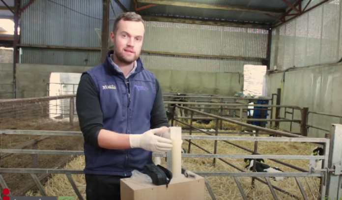 In this video, Tommy the Vet, talks about colostrum. The focus of the series is to provide easy to use advice on taking care of your calf.