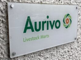 According to Aurivo Ballinrobe Mart’s assistant manager, Teresa Gibsey, Wednesday, March 22nd, saw “another excellent turnout of cattle and prices were still remarkably good”.
